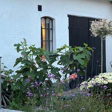 Backadal Gard Bnb Ystad Luaran gambar