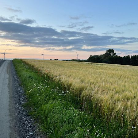 Backadal Gard Bnb Ystad Luaran gambar