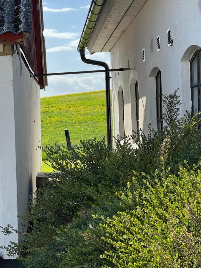 Backadal Gard Bnb Ystad Luaran gambar