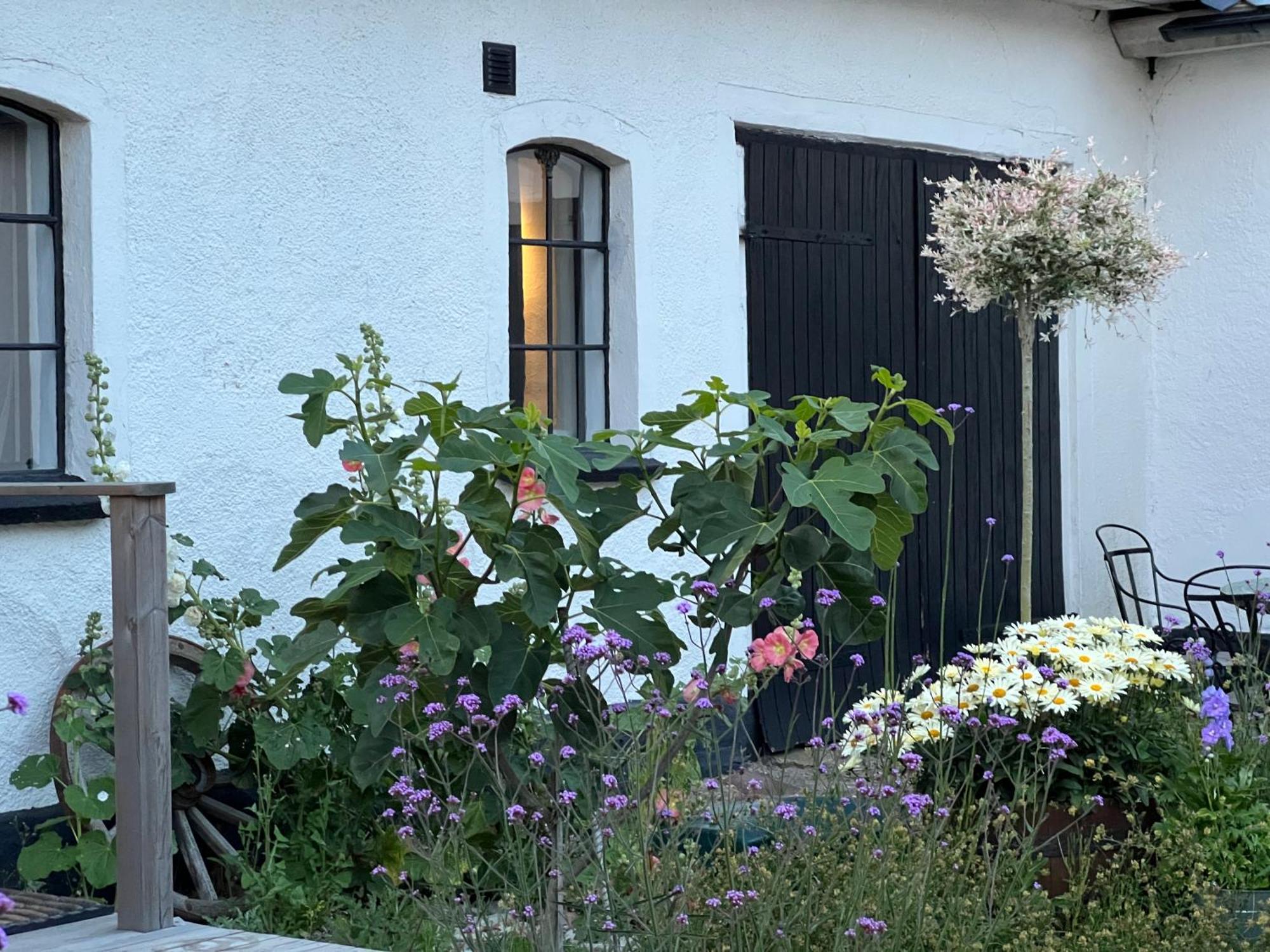 Backadal Gard Bnb Ystad Luaran gambar