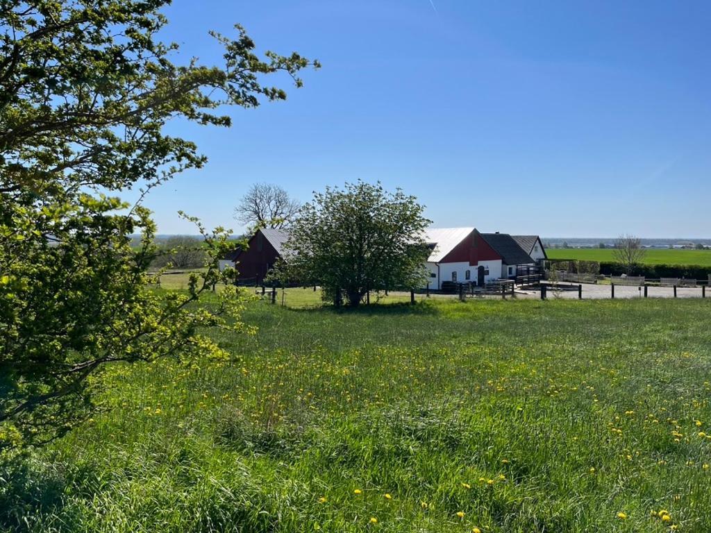 Backadal Gard Bnb Ystad Luaran gambar