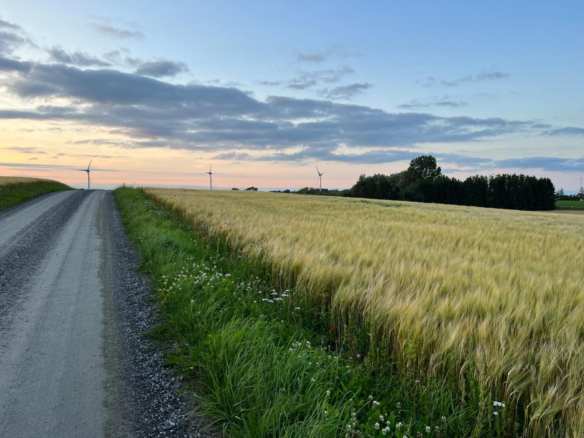 Backadal Gard Bnb Ystad Luaran gambar