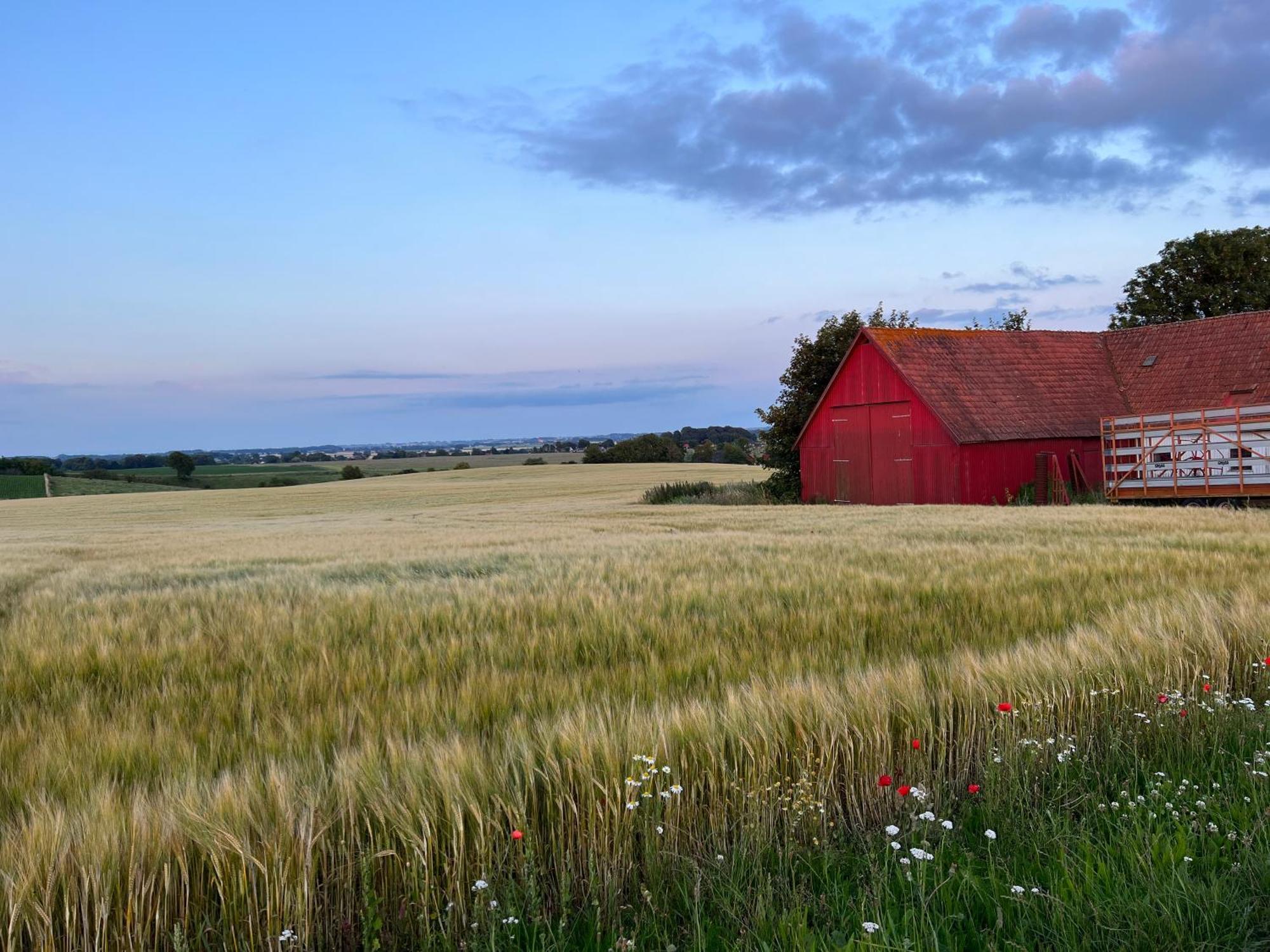 Backadal Gard Bnb Ystad Luaran gambar